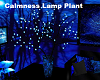 Calmness Lamp Plant