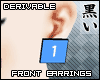 [K] 3D Earrings Front