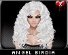 Angel Birdia