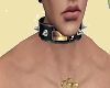 (OWNED BY A  COLLAR