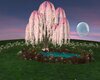 Secret Garden