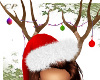 *cp*Rudolph Antlers
