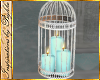 I~Teal Cage Candles