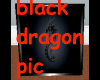 framed  dragon