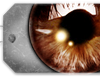 [XDX] Affliced Brown Eye