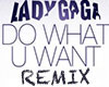Do What U Want (Remix)