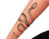 Tatto Snake Arms