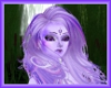 Lavender Desiree