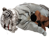 Playful White Tiger Hug