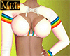 Pride Stripes V2