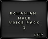 Male Romanian Voice 1