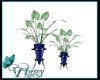 Plants In Blue Vases