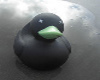 Emo Duck!