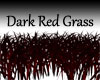 Dark Red Grass