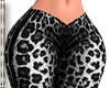 Pants Leopard Skin