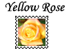 Yellow Rose Stamp