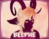 belphe ∾ horns 3