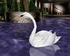 Swan Animated