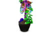 Pride Skeleton Pot Plant