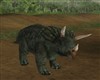 ANIMATED TRICERATOPS