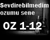 sevdirebilmedim ozumu
