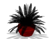(MC) black plant Red Pot