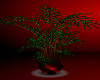 Red/Black Planter