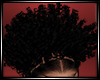 LS~Kinley Natural curls