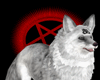 Satanic Fox pet M/F