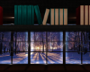 Snowed In Library