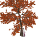 Fall Kissing Tree