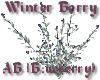 Winter Berry Blueberry