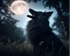 HOWLING AT THE MOON