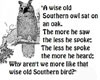 southern owl