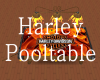 Harley Pooltable 2