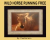 WILD HORSE RUNNING FREE