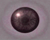 [M1105] Light Black Eyes
