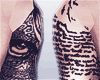 Owl History Sleeves ▲