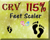 Feet Scaler 115%