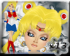 X13 Sailor Moon BUNDLE