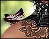 Diva Butterfly