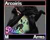 Arcoiris Arms M