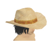 Tan Cowboy Hat 