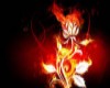 Fire Rose