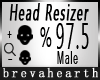 Head Scaler 97.5% M