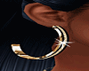 ^F^Gold&Black Hoops