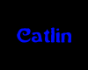Catlin ArmBand