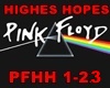 Pink Floyd-Highes Hopes