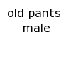  old pants male