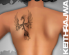 [KR] Phoenix Tattoo